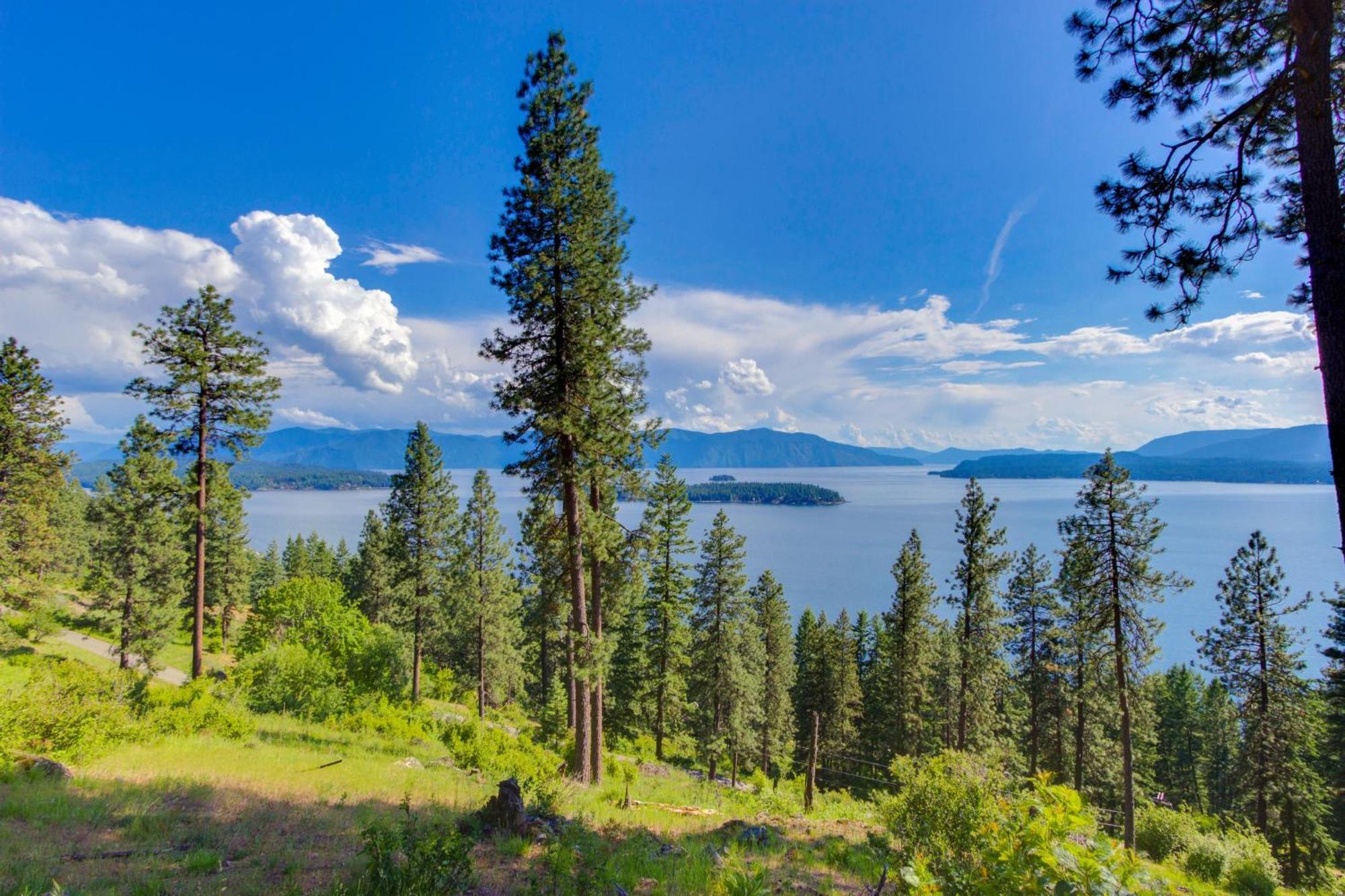 Cozy One Bedroom With Privacy - Community Beach Access Sandpoint Exterior foto